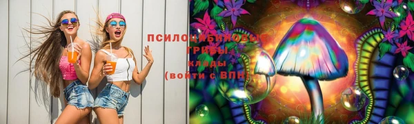 стаф Коряжма