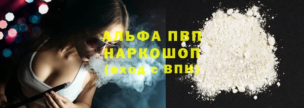 стаф Коряжма