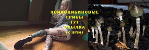 стаф Коряжма