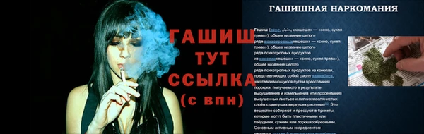 ПСИЛОЦИБИНОВЫЕ ГРИБЫ Корсаков