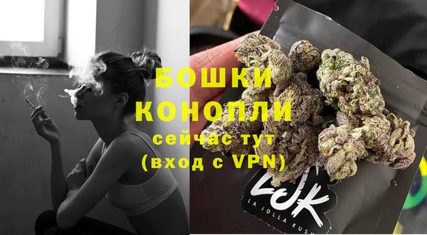 ПСИЛОЦИБИНОВЫЕ ГРИБЫ Корсаков