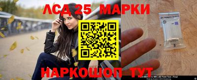 spice Камышлов