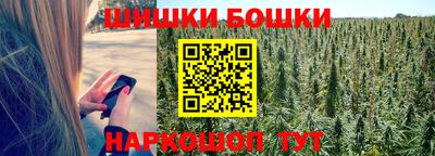 spice Камышлов