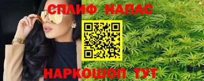 гашик Канаш