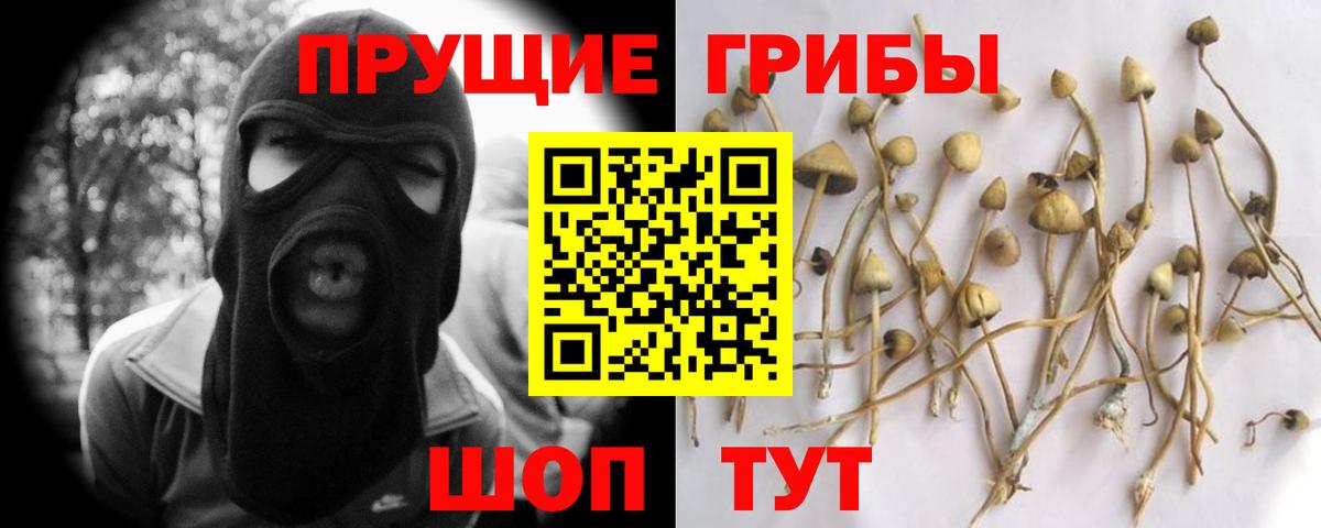 Псилоцибиновые грибы Psilocybine cubensis  Псилоцибиновые грибы мицелий  Вход с VPN  Михайловка 